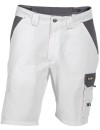 Dassy Roma work shorts