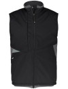 Dassy Fusion softshell vest