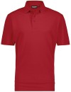 Dassy Leon work polo shirt