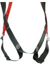 Safety harness Gekko Basic