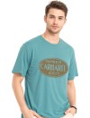 Carhartt Hamilton T-shirt