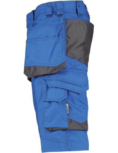 Dassy Bionic work shorts