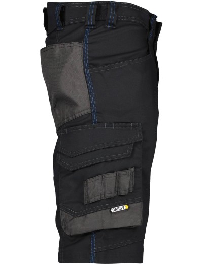 Dassy Cosmic work shorts