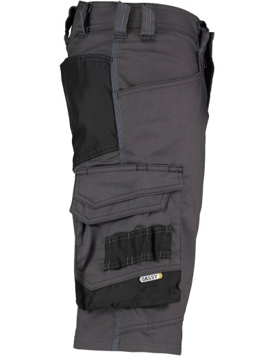 Dassy Cosmic work shorts