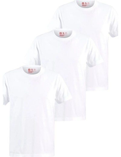 Engelbert Strauss cotton t-shirt 3 pack