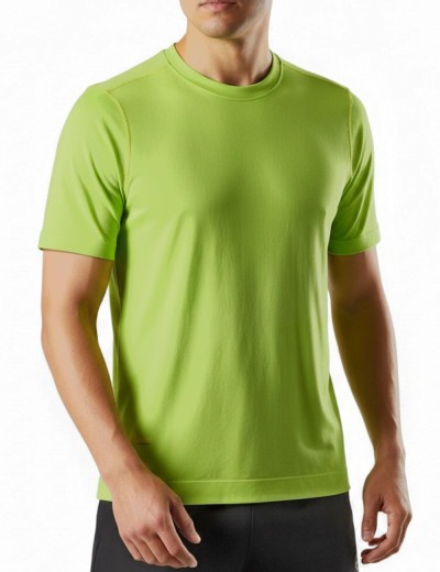 Snickers 2519 37.5 FlexiWork work T-shirt
