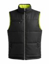 BoSafety Can Work Vest