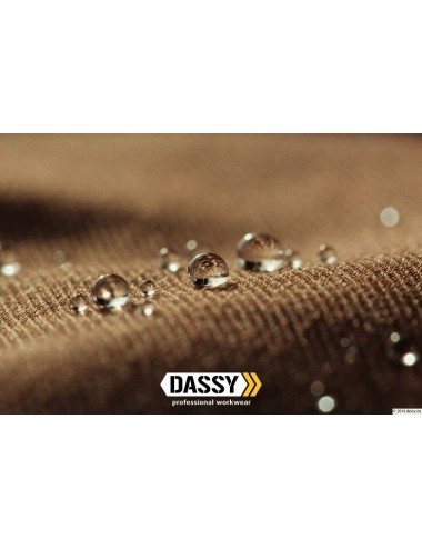 Dassy Nova work trousers